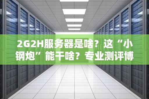 2G2H服务器是啥？这“小钢炮”能干啥？专业测评博主带你扒一扒！