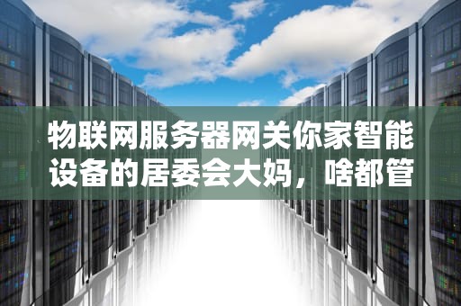 物联网服务器网关你家智能设备的居委会大妈，啥都管还特能干！