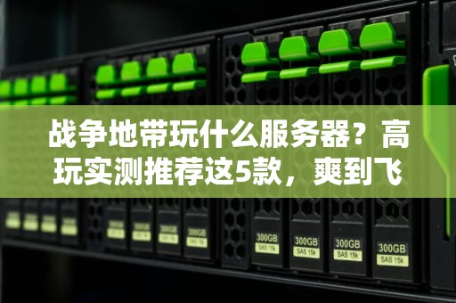 战争地带玩什么服务器？高玩实测推荐这5款，爽到飞起！