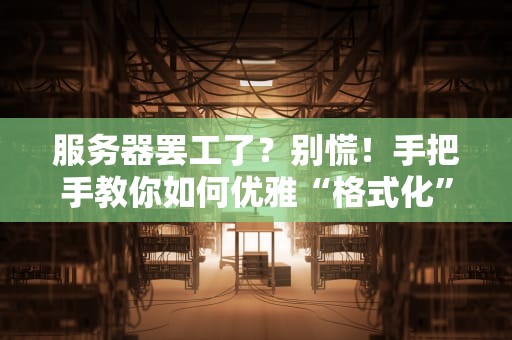 服务器罢工了？别慌！手把手教你如何优雅“格式化”救场
