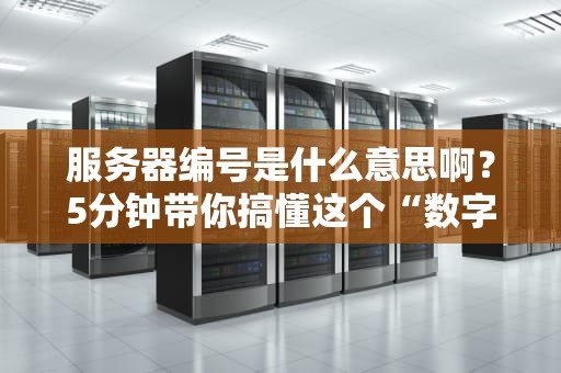 服务器编号是什么意思啊？5分钟带你搞懂这个“数字身份证”的奥秘！