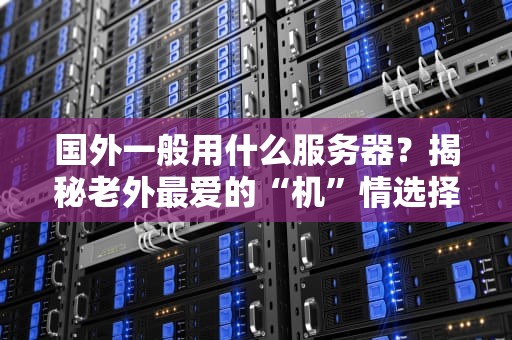 国外一般用什么服务器？揭秘老外最爱的“机”情选择！