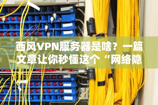 西风VPN服务器是啥？一篇文章让你秒懂这个“网络隐身斗篷”！
