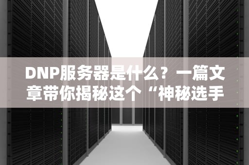 DNP服务器是什么？一篇文章带你揭秘这个“神秘选手”的硬核实力！
