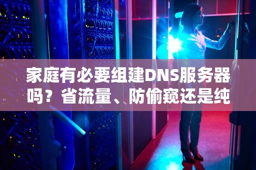 家庭有必要组建DNS服务器吗？省流量、防偷窥还是纯折腾？
