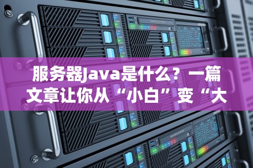 服务器Java是什么？一篇文章让你从“小白”变“大神”（附实战案例）