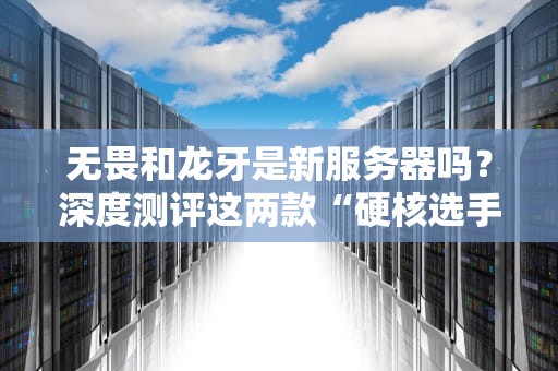 无畏和龙牙是新服务器吗？深度测评这两款“硬核选手”的真实战斗力！