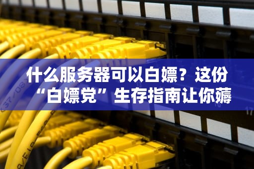 什么服务器可以白嫖？这份“白嫖党”生存指南让你薅秃云厂商！