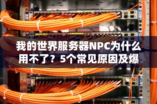 我的世界服务器NPC为什么用不了？5个常见原因及爆笑修复指南