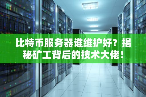 比特币服务器谁维护好？揭秘矿工背后的技术大佬！