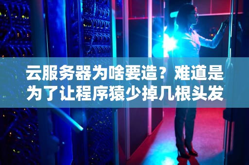 云服务器为啥要造？难道是为了让程序猿少掉几根头发？