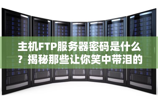 主机FTP服务器密码是什么？揭秘那些让你笑中带泪的“安全黑洞”