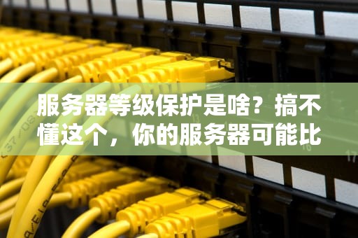 服务器等级保护是啥？搞不懂这个，你的服务器可能比纸糊的还脆！