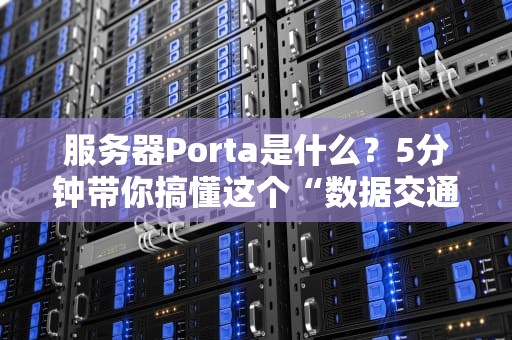 服务器Porta是什么？5分钟带你搞懂这个“数据交通警察”的日常！