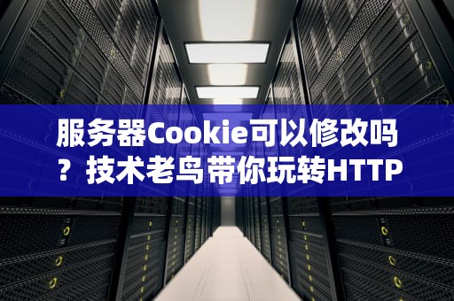 服务器Cookie可以修改吗？技术老鸟带你玩转HTTP小饼干！