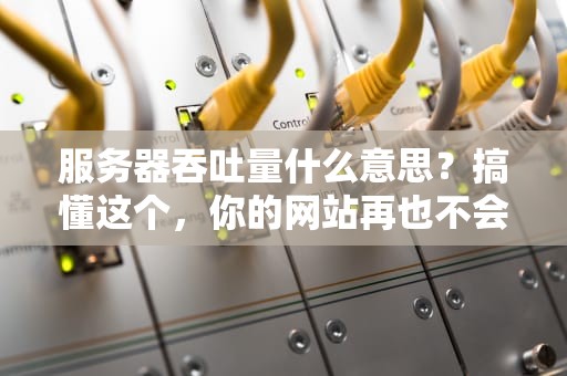 服务器吞吐量什么意思？搞懂这个，你的网站再也不会“堵车”啦！