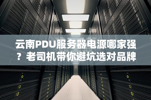 云南PDU服务器电源哪家强？老司机带你避坑选对品牌！