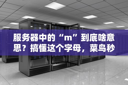 服务器中的“m”到底啥意思？搞懂这个字母，菜鸟秒变老司机！