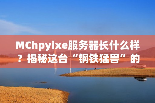 MChpyixe服务器长什么样？揭秘这台“钢铁猛兽”的硬核真容！
