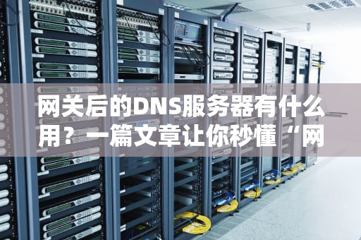 网关后的DNS服务器有什么用？一篇文章让你秒懂“网络导航员”的妙用！