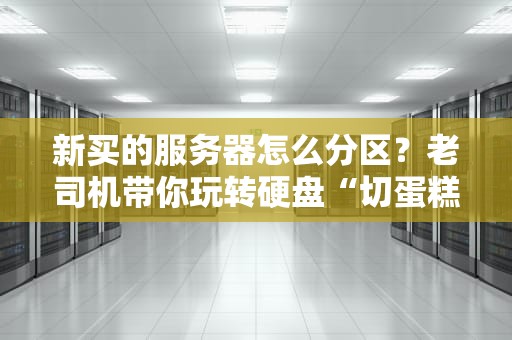 新买的服务器怎么分区？老司机带你玩转硬盘“切蛋糕”艺术！
