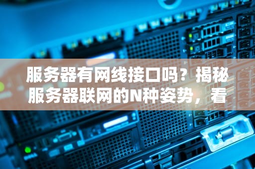 服务器有网线接口吗？揭秘服务器联网的N种姿势，看完笑出8块腹肌！