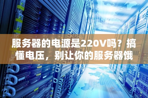 服务器的电源是220V吗？搞懂电压，别让你的服务器饿肚子！