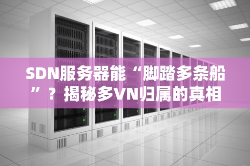 SDN服务器能“脚踏多条船”？揭秘多VN归属的真相与骚操作！