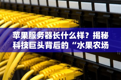 苹果服务器长什么样？揭秘科技巨头背后的“水果农场”