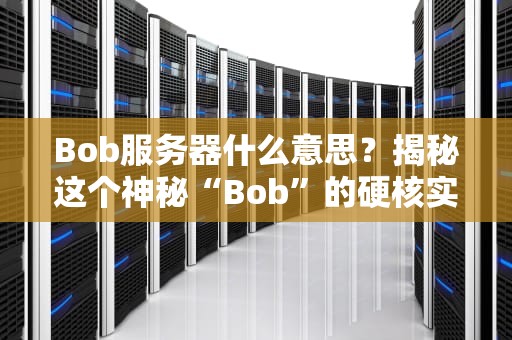Bob服务器什么意思？揭秘这个神秘“Bob”的硬核实力！