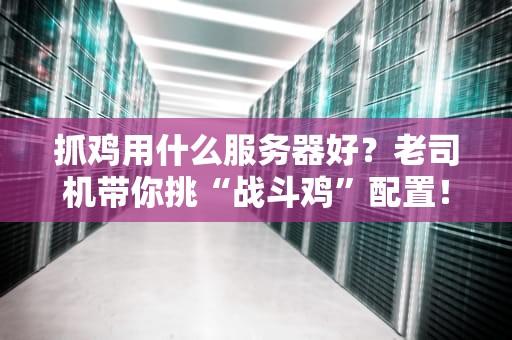 抓鸡用什么服务器好？老司机带你挑“战斗鸡”配置！