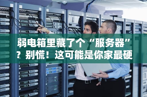弱电箱里藏了个“服务器”？别慌！这可能是你家最硬核的电器！