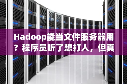 Hadoop能当文件服务器用？程序员听了想打人，但真相是