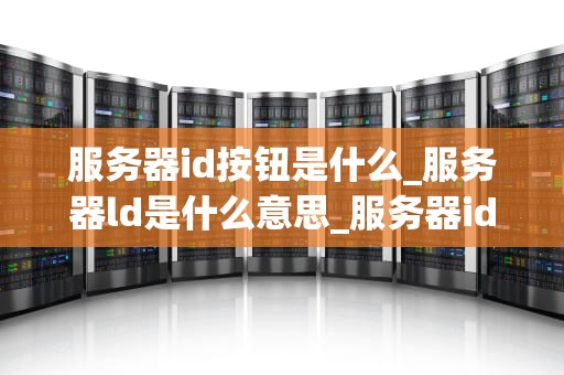 服务器id按钮是什么_服务器ld是什么意思_服务器id按钮的深度解析