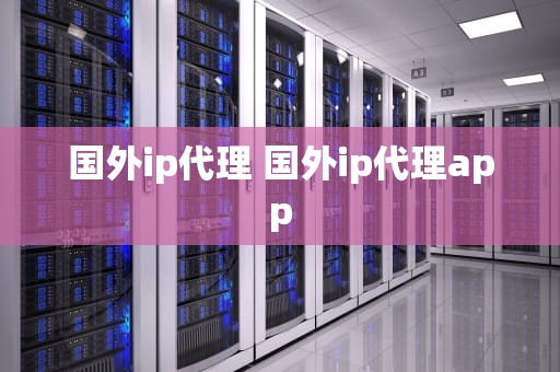 国外ip代理 国外ip代理app