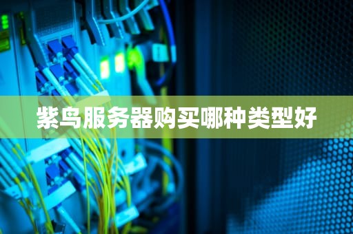 紫鸟服务器购买哪种类型好