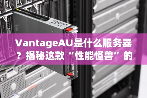 VantageAU是什么服务器？揭秘这款“性能怪兽”的隐藏技能！