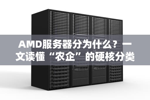 AMD服务器分为什么？一文读懂“农企”的硬核分类指南