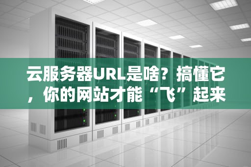 云服务器URL是啥？搞懂它，你的网站才能“飞”起来！