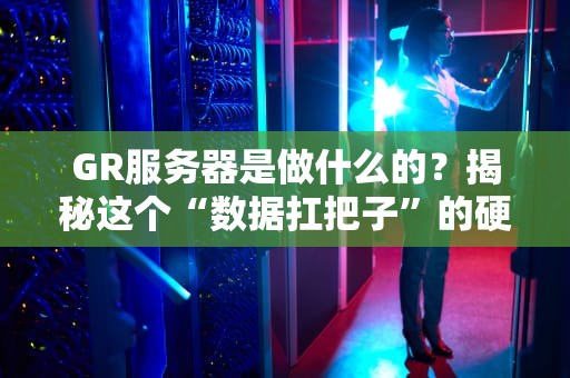 GR服务器是做什么的？揭秘这个“数据扛把子”的硬核日常！