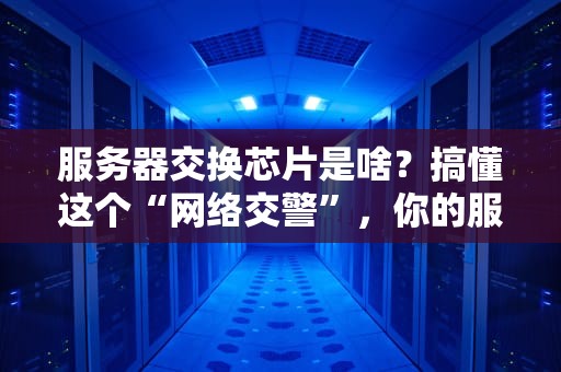 服务器交换芯片是啥？搞懂这个“网络交警”，你的服务器再也不堵车！