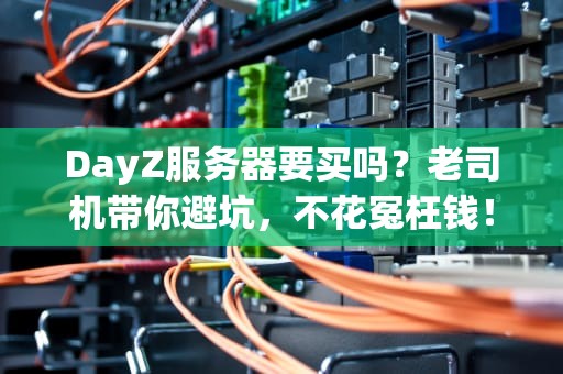 DayZ服务器要买吗？老司机带你避坑，不花冤枉钱！