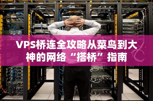 VPS桥连全攻略从菜鸟到大神的网络“搭桥”指南