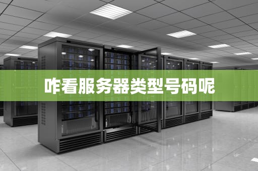 咋看服务器类型号码呢
