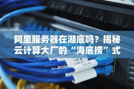 阿里服务器在湖底吗？揭秘云计算大厂的“海底捞”式操作！