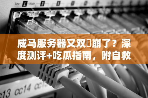 威马服务器又双叒崩了？深度测评+吃瓜指南，附自救攻略！