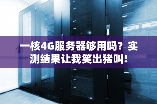 一核4G服务器够用吗？实测结果让我笑出猪叫！