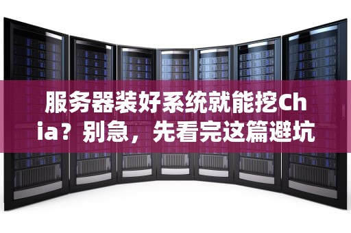服务器装好系统就能挖Chia？别急，先看完这篇避坑指南！