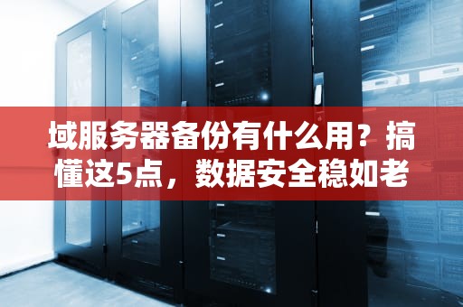 域服务器备份有什么用？搞懂这5点，数据安全稳如老狗！
