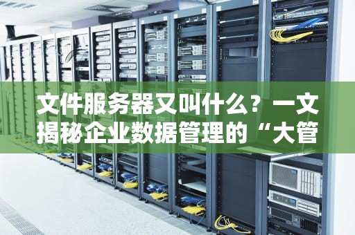 文件服务器又叫什么？一文揭秘企业数据管理的“大管家”